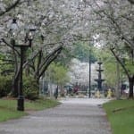 Macon Medigap Quotes 2 macon-ga