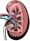 kidney dialysis